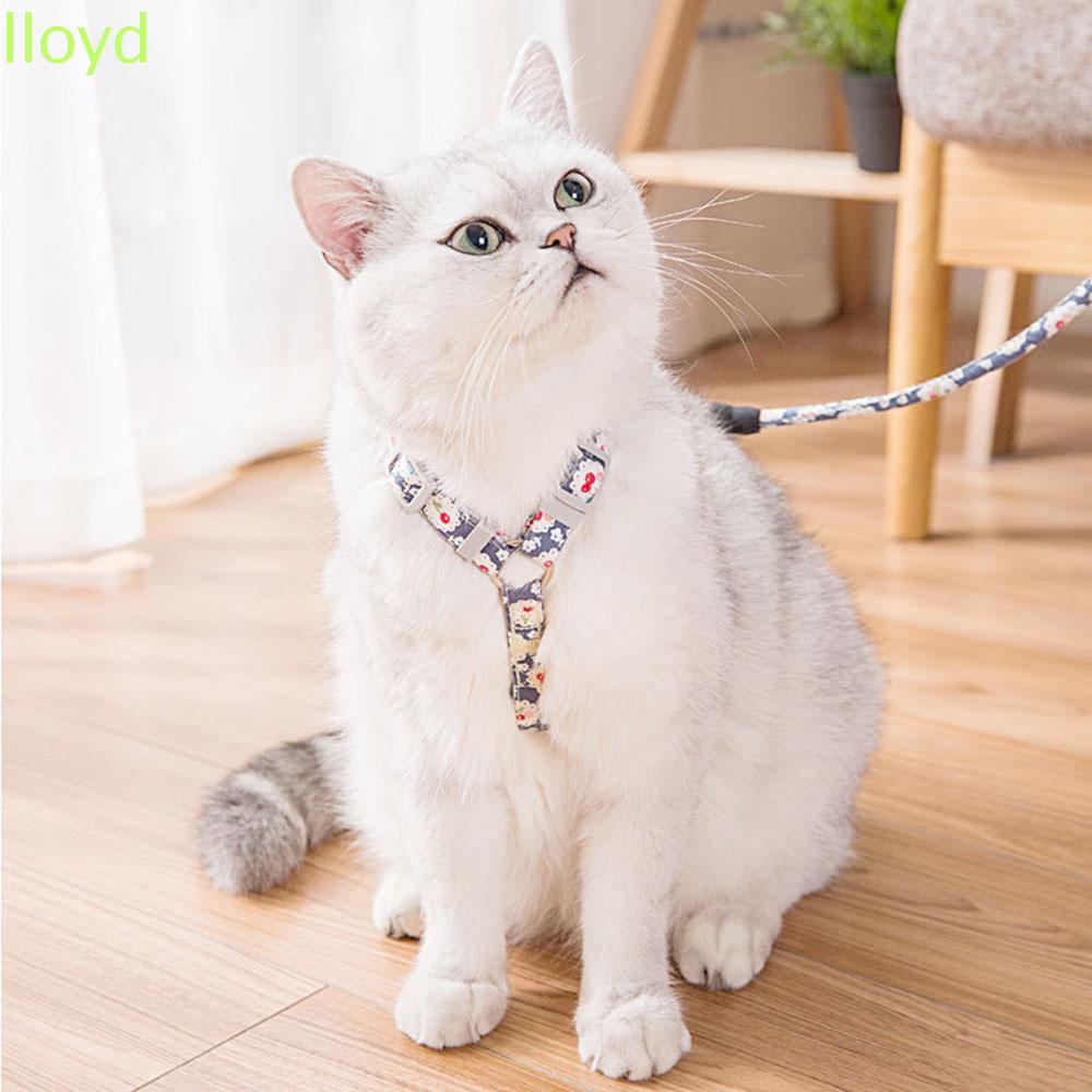 Dây buộc có đai hình chữ H 2 kích cỡ mềm thoải mái có thể điều chỉnh dài 1.5m nhiều màu sắc cho mèo