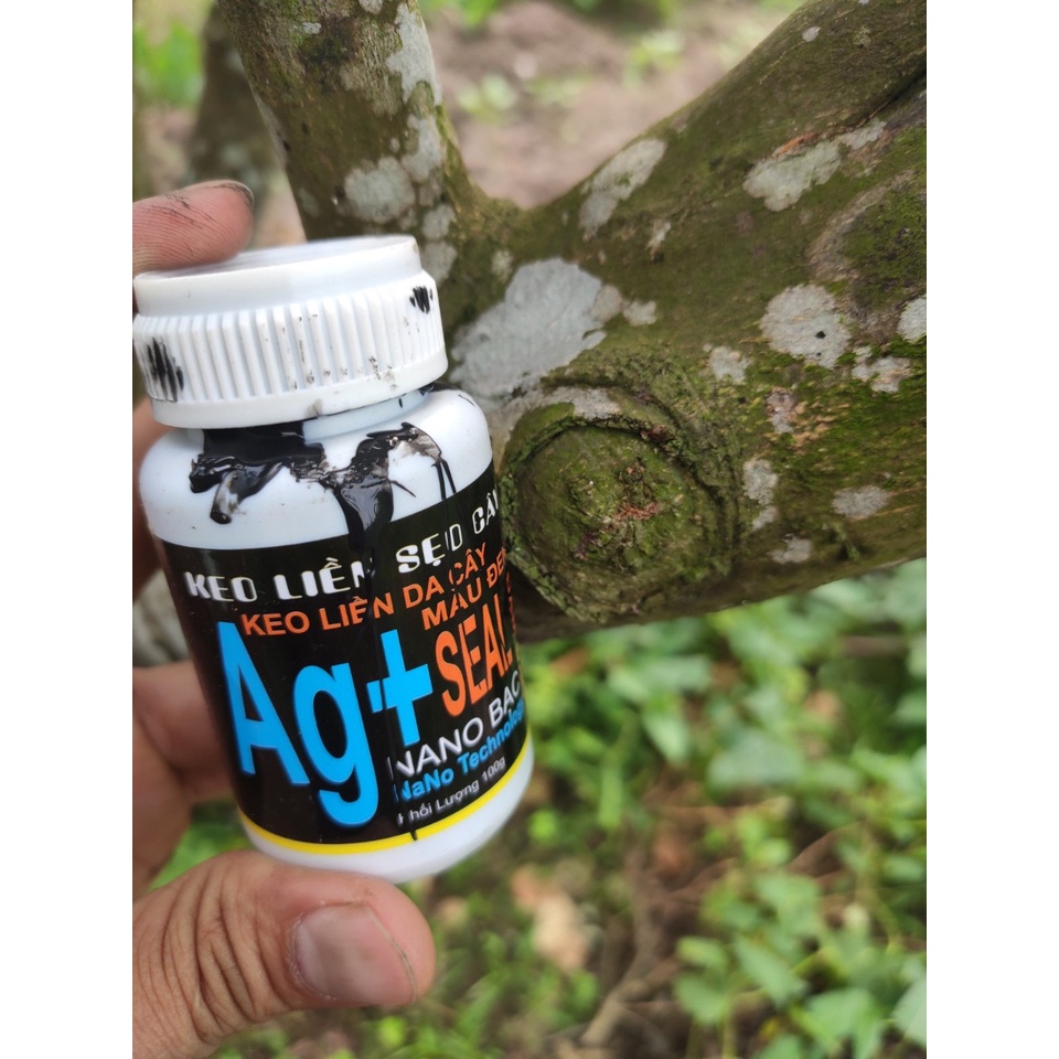 keo liền da cây màu đen ag seal 100g - keo liền sẹo cây keo ghép cành