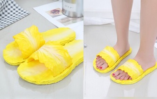 Sỉ dép bắp cải