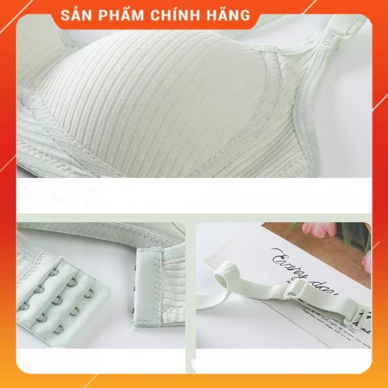 Áo Lót Nữ Cotton Cao Cấp Không Gọng Mỏng Nâng Ngực Dành Cho Nữ Sinh 138