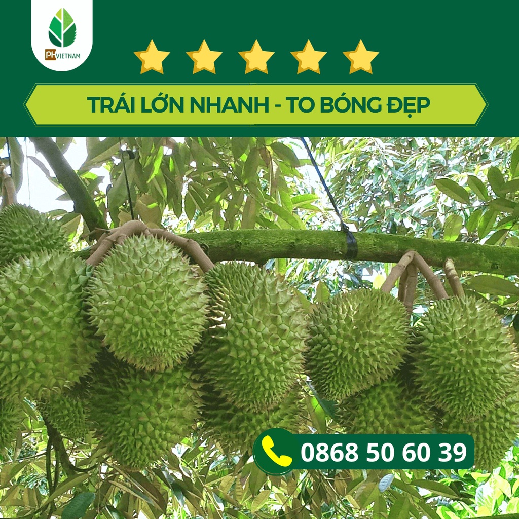 Phân Bón NPK 12-3-43 Túi 1Kg Dùng Được Tới 10.000m2, Pha 600 Lít Nước, Thúc Trái Lớn, Ngọt Trái, Dưỡng Trái