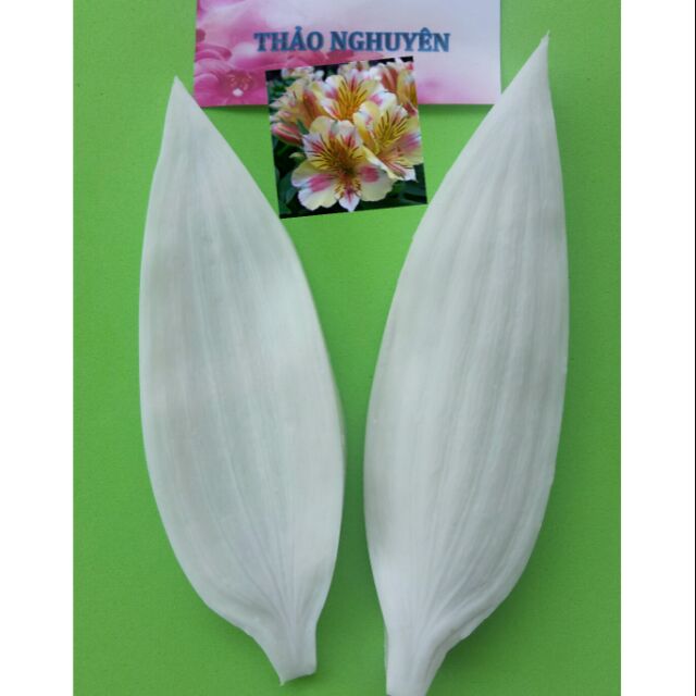 Gân silicon lá hoa ly (13.5 x 4.5)