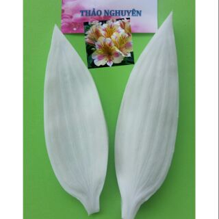 Gân silicon lá hoa ly (13.5 x 4.5)