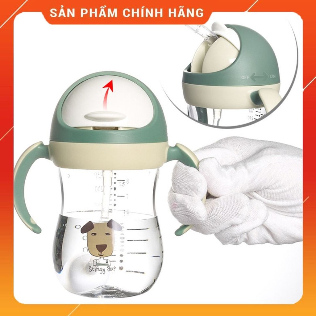 Bình Nước Có Tay Cầm Chính Hãng DILLER Cao Cấp Cho Bé Từ 1 Đến 5 Tuổi Dung Tích 240ml