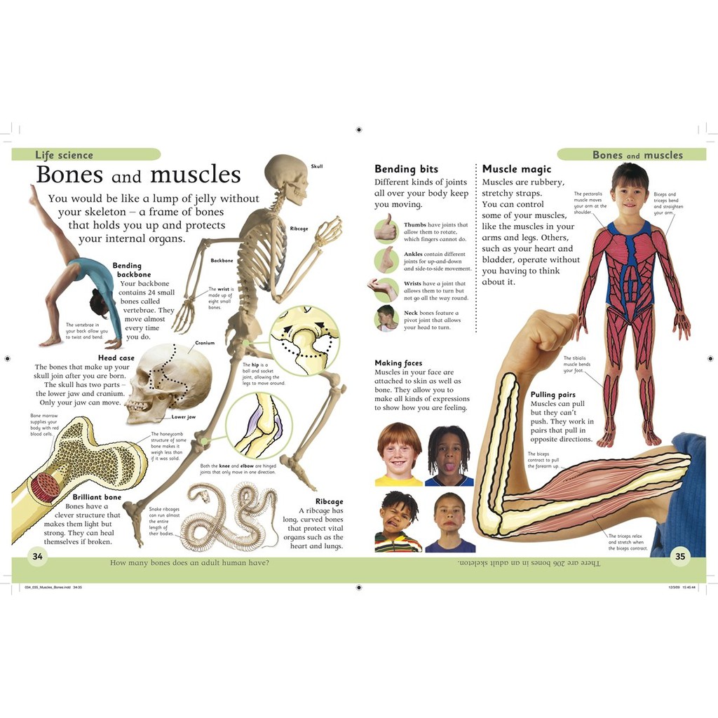 Sách First Science Encyclopedia - Kiến Thức Tổng Hợp Về Khoa Học