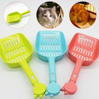 Xẻng xúc cát vệ sinh mèo