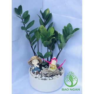 Tinh dầu treo xe, trang trí nhà cửa hương bưởi thơm dịu nhẹ Bảo Ngân