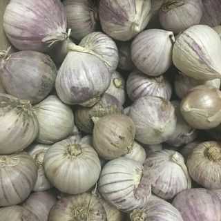 [FREESHIP 99K TOÀN QUỐC]1kg tỏi cô đơn