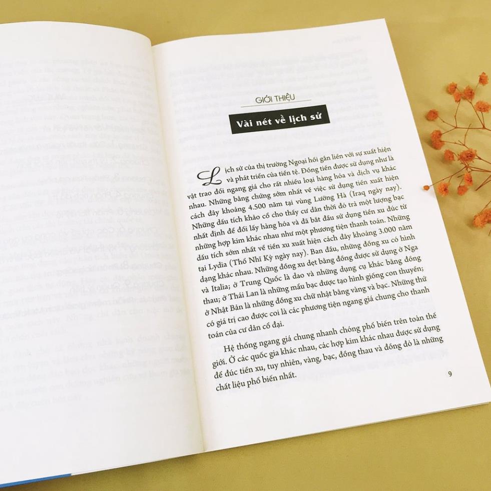 Sách - Forex 100% - Học Cách Kiếm Tiền Từ Thị Trường Ngoại Hối [AlphaBooks]