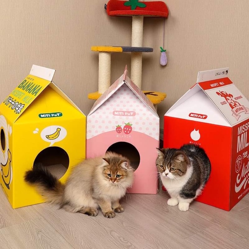 HỘP CÀO MÓNG HÌNH HỘP SỮA CHO MÈO KÈM CỎ MÈO
