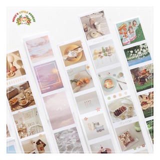 STICKER ẢNH PHOTO SERIES | MST234