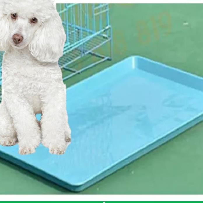 CTVD- Khay vệ sinh thú cưng (Size S 43x32cm) Khay nhựa rời có thể làm mâm hứng chuồng chó mèo