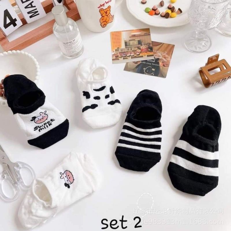COMBO TẤT VỚ COTTON NGẮN CỔ CỰC XINH