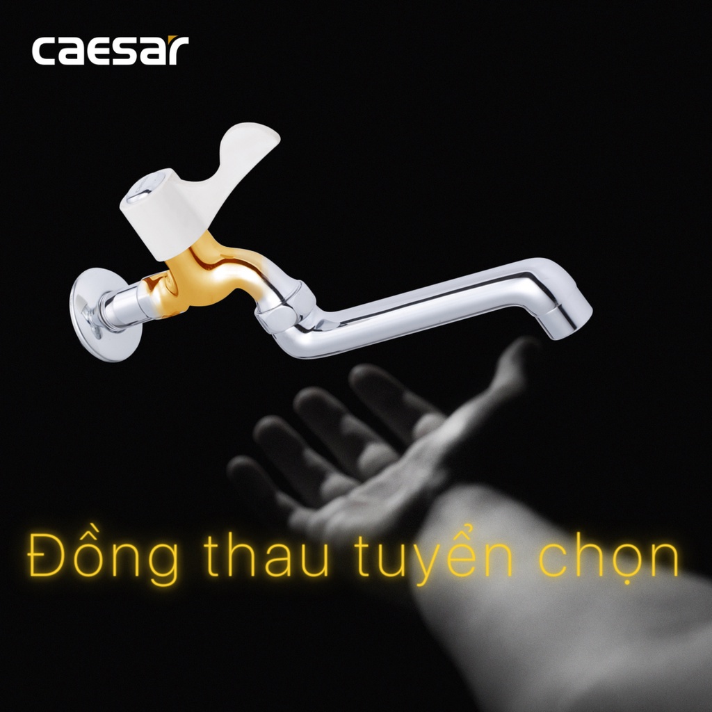 [Caesar] Vòi lạnh gắn tường Caesar, vòi chậu rửa chén bát âm tường WL027C