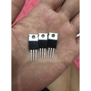 10 con sò A671