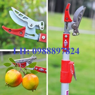 KÉO CẮT TỈA HOA QUẢ TRÊN CAO, HÁI QUA QUẢ, TỈA CÀNH ĐỘ DÀI TỪ 1.8M ĐẾN 3M - SIÊU BỀN