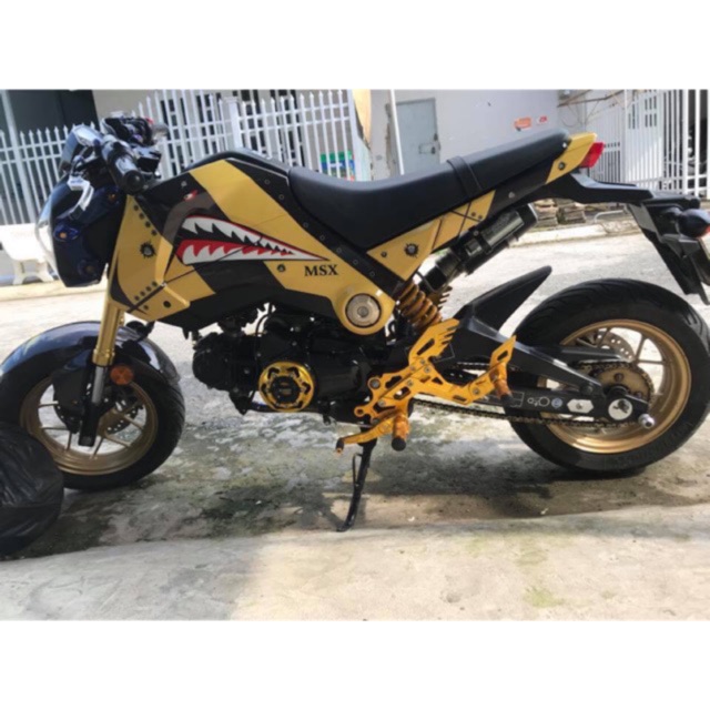 số gãy Msx