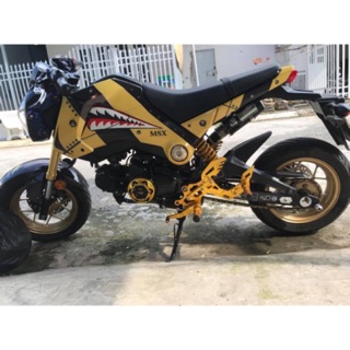 số gãy Msx