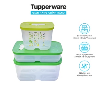 Bộ 3 hộp trữ mát có nút hô hấp Ventsmart TUPPERWARE bảo quản độ tươi ngon thực phẩm tiện dụng đa năng