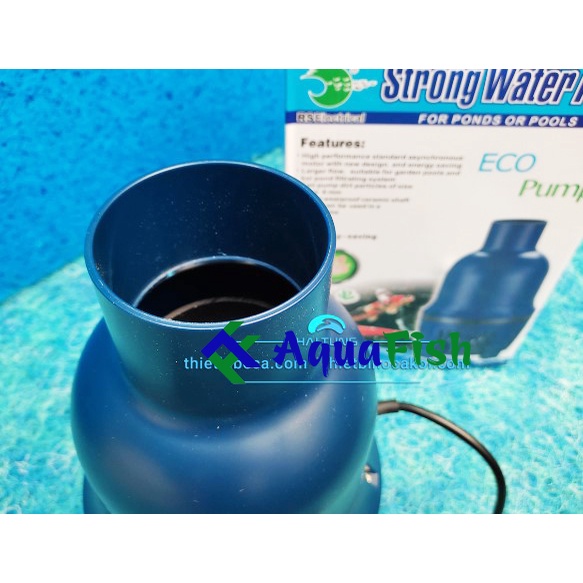 Máy Bơm Thổi Luồng Hồ Cá Koi Strong Water RS 16500 - 22500 - 25000 - 46000 - 56000 (bơm khỏe, siêu tiết kiệm điện)