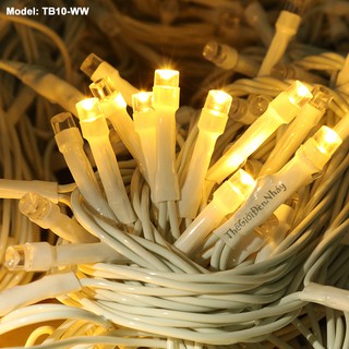 Đèn Nháy 10m, 30m, 50m dây Điện màu TRẮNG – [không chớp nháy] - Thế Giới Đèn Nháy