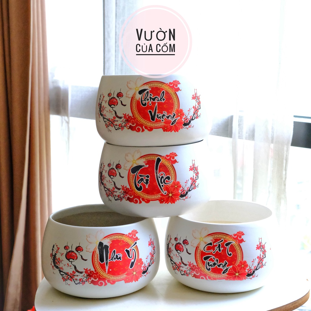 Chậu sứ trồng cây để bàn siêu đẹp có 4 mẫu . Chậu Tài Lộc - Thịnh Vượng - An Khang - Như Ý