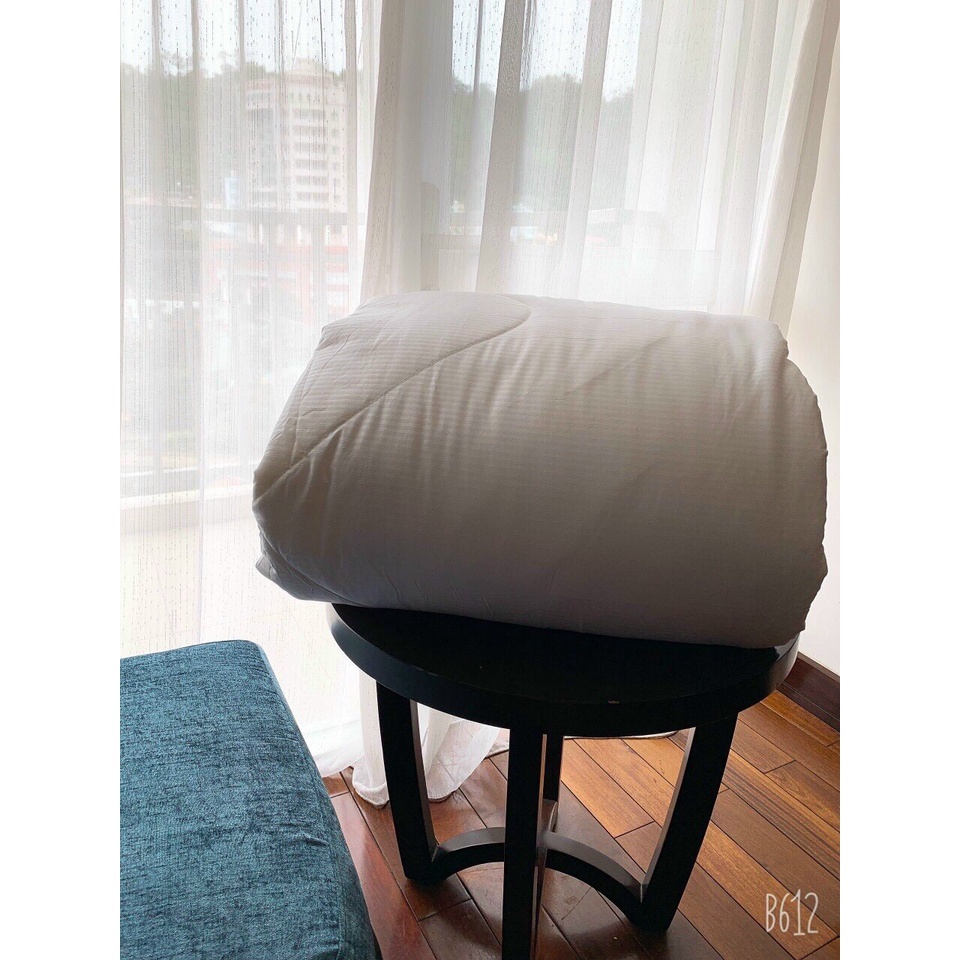 Ruột Chăn Muji Xuất Nhật Siêu Mềm Nhẹ 2m-2m2