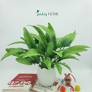 Hoa giả trang trí nhà cửa, chậu cây dương xỉ nhỏ