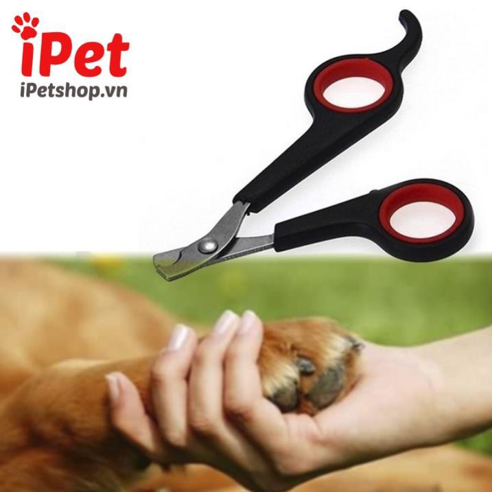 Kéo Cắt Móng Cho Thú Cưng Chó Mèo Con Size Nhỏ - iPet Shop