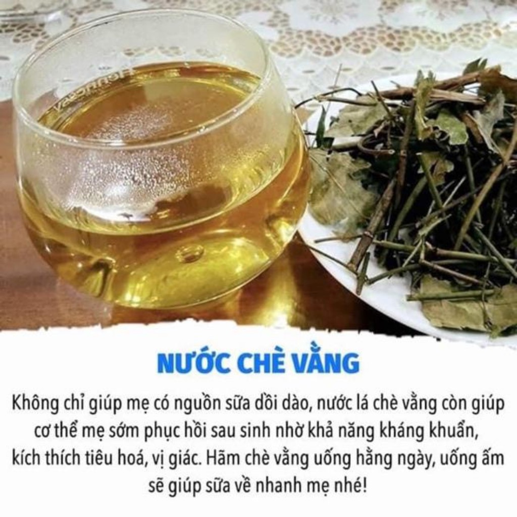 [Giá Sỉ] Chè Lá Vằng Sẻ Khô Lợi Sữa Cho Mẹ Giảm Cân Nhanh Nghệ An Loại Đặc Biệt