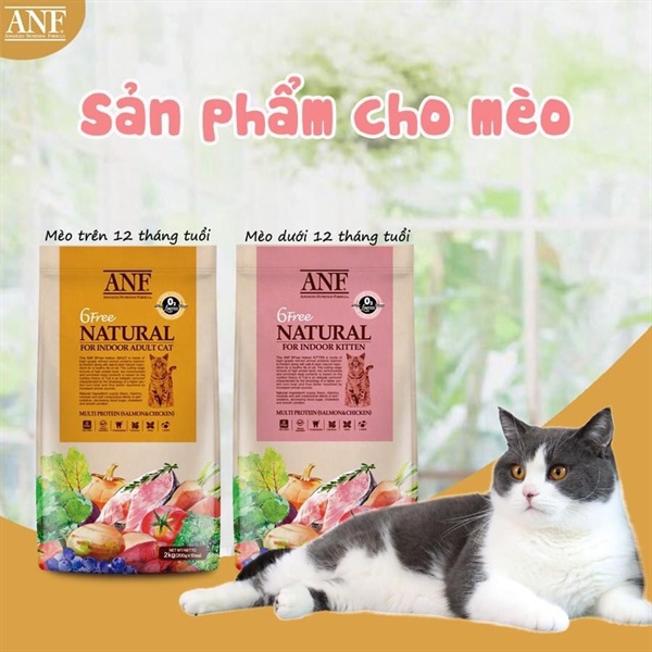 Hạt ANF 6Free Indoor cho mèo con và mèo trưởng thành