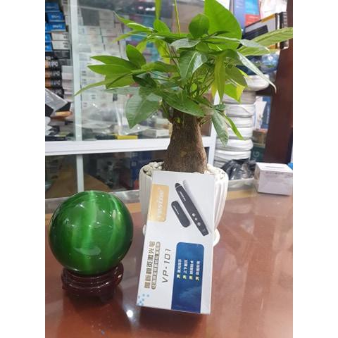 Bút Chiếu PP101