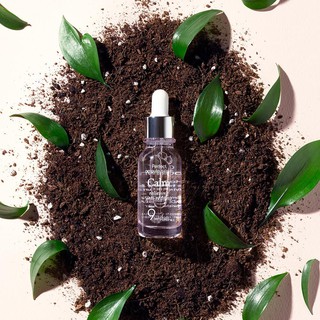Tinh chất 9 Wishes Ampule Serum
