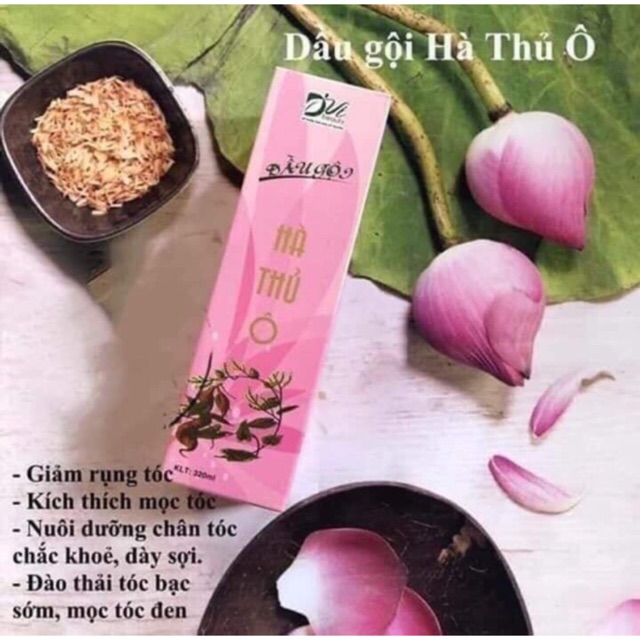 DẦU GỘI HÀ THỦ Ô HƯƠNG NHU - 320ML - Dvi Beauty