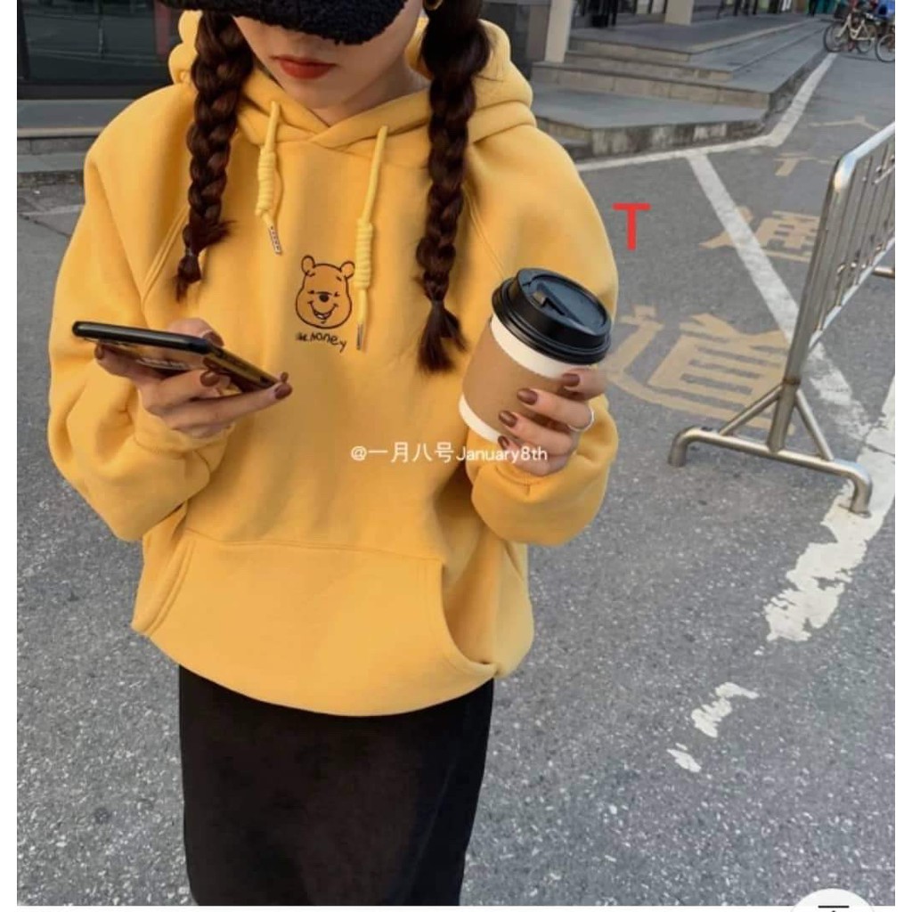 [FREESHIP ĐƠN TỪ 50K] Áo hoodie mặt gấu Honey DTR1119