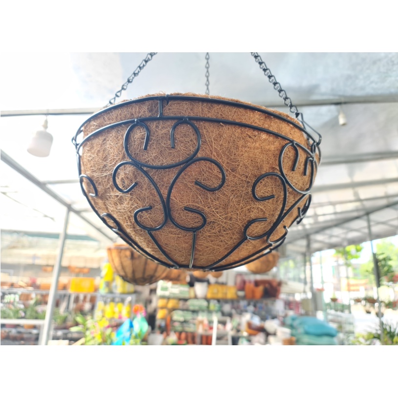 Vỏ xơ dừa giá thể trồng hoa