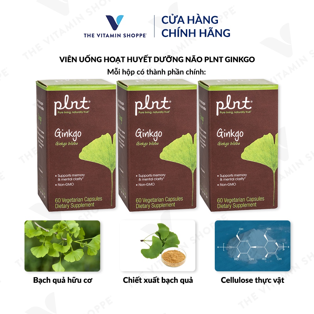 Viên uống hoạt huyết dưỡng não PLNT Ginkgo tăng cường tuần hoàn 60 viên