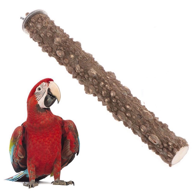 Cầu đậu gỗ gạo cho chim vẹt # 20cm.