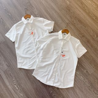 SƠ MI UNI CỘC TAY - KHÔNG NHĂN