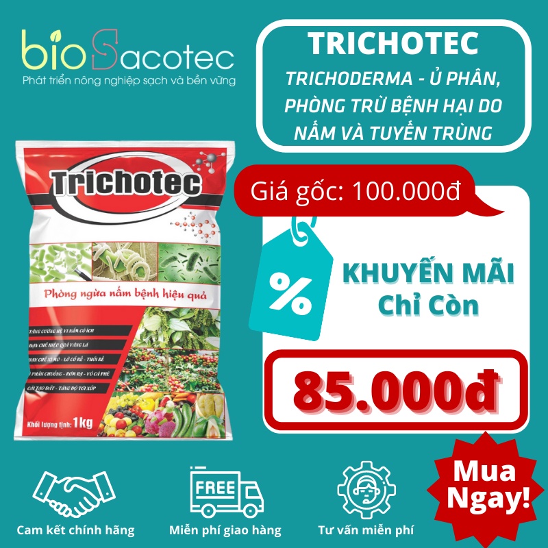 Chế phẩm sinh học Trichoderma TRICHOTEC túi 1 kg - Phục hồi đất bị thoái hoá, phòng trừ nấm bệnh, thối rễ, vàng lá
