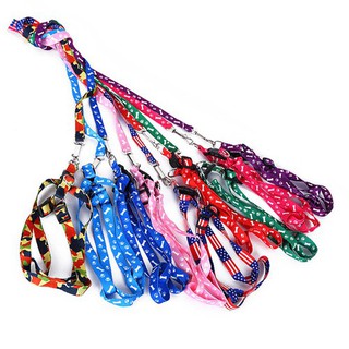 Dây dắt và đai yếm chó