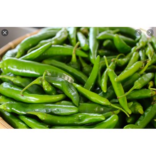 Hạt giống ớt xanh Hàn Quốc