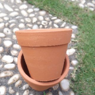 Chậu mini cao trung 8cm×7cm