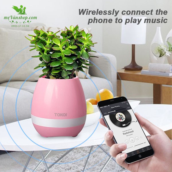 CHẬU CÂY KIÊM LOA BLUETOOTH LÀM CÂY NHẢY MÚA.