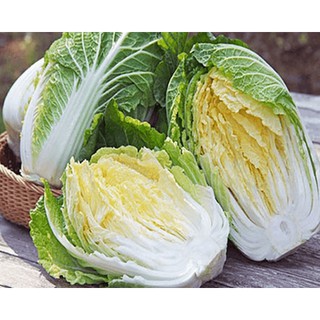 Hạt giống cải thảo năng suất, giòn, ngọt, giàu dinh dưỡng