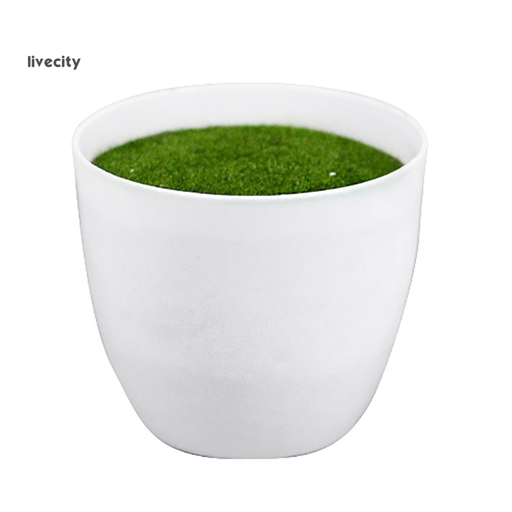 Chậu Hoa Nhựa Mini