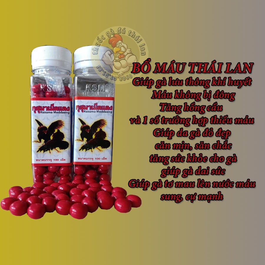 bổ máu thái lan - 1 hủ - 100 viên