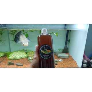 Nước sâm dưỡng cá Black Water - Lúa Channa Fish