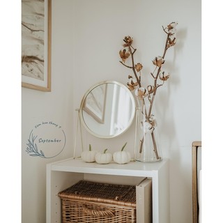 🌸FREESHIP🌸Cotton Stalks🌸Hoa khô bông gòn cành 10 bông decor trang trí Bắc Âu, chụp ảnh sản phẩm