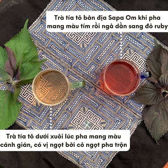 Trà Tía Tô tím Om Sapa nguyên chất Thanh Lọc Cơ Thể, Khỏe Đẹp Da 30 Túi lọc/Hộp